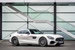 Mercedes-AMG GT 2019 года (WW)
